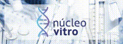 Nucleo Vitro Ago19